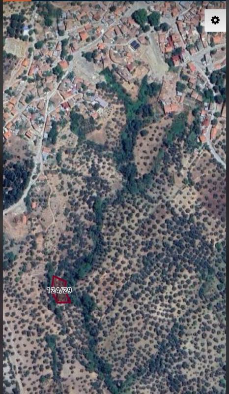 Büyü19949